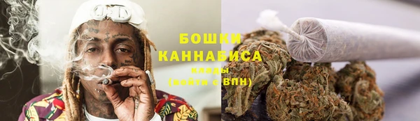 МДПВ Богородск
