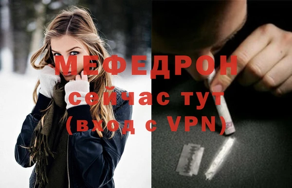 МДПВ Богородск