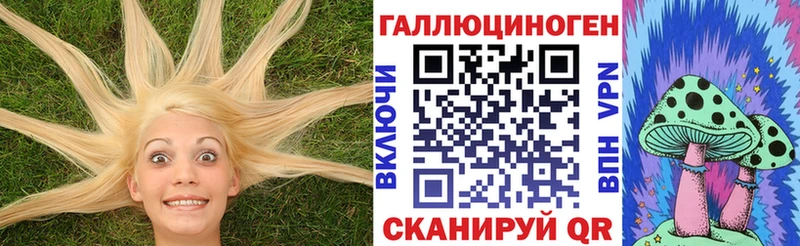 купить наркоту  Велиж  Галлюциногенные грибы мицелий 
